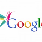 Google Hummingbird - Google Colibri